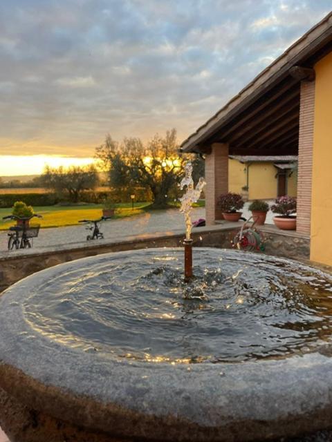 Agriturismo Arlena Bolsena Bagian luar foto